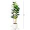 5ft. Fiddle Leaf Tree in Decorative White Planter